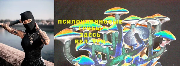 гидропоника Беломорск