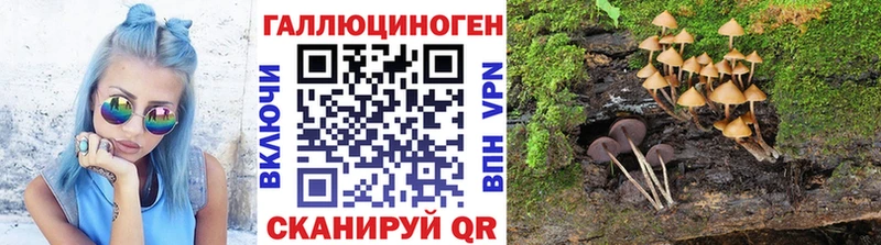цена   blacksprut зеркало  Псилоцибиновые грибы прущие грибы  Буинск 